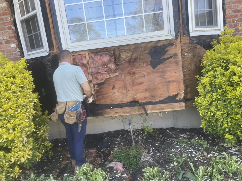 Slide of Life Restoration