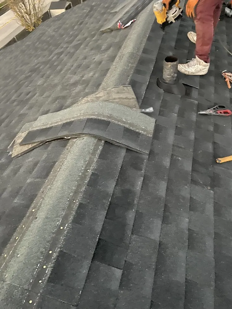 Slide of Life Restoration