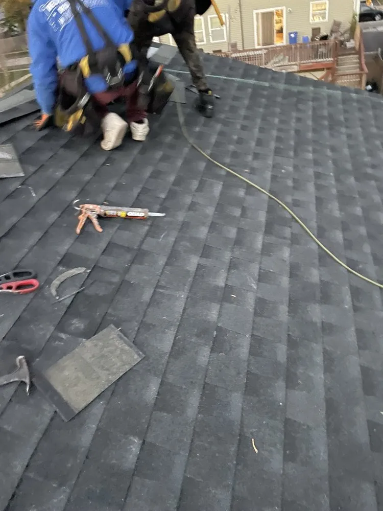 Slide of Life Restoration