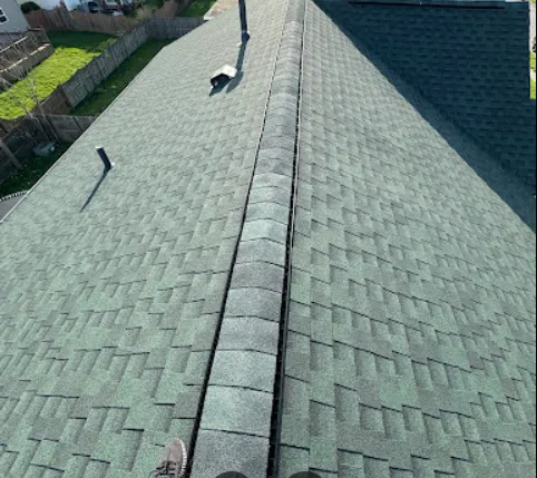 Slide of Lifetime Build & Home Restoration