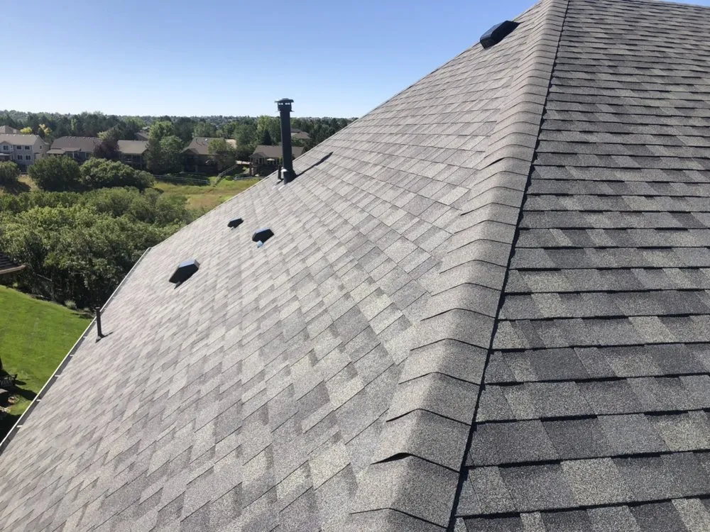 Slide of Lifetime Construction