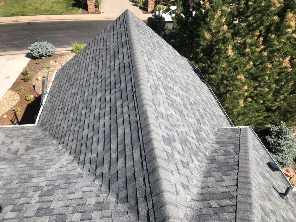 Slide of Lifetime Construction