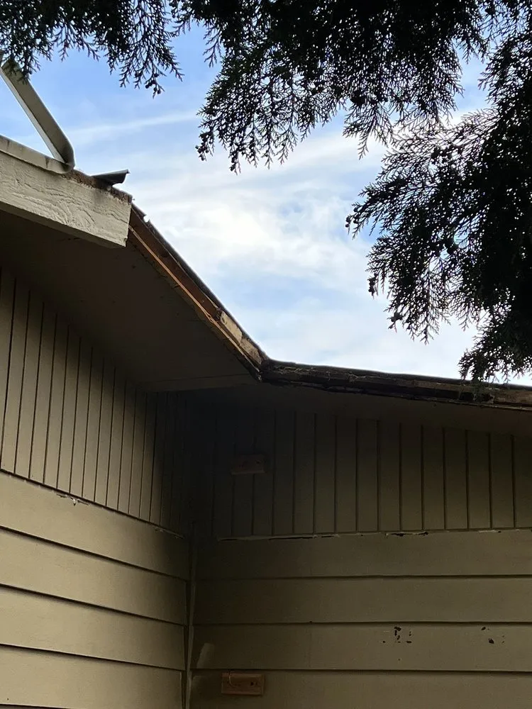 Slide of Lifetime Flat Roofs