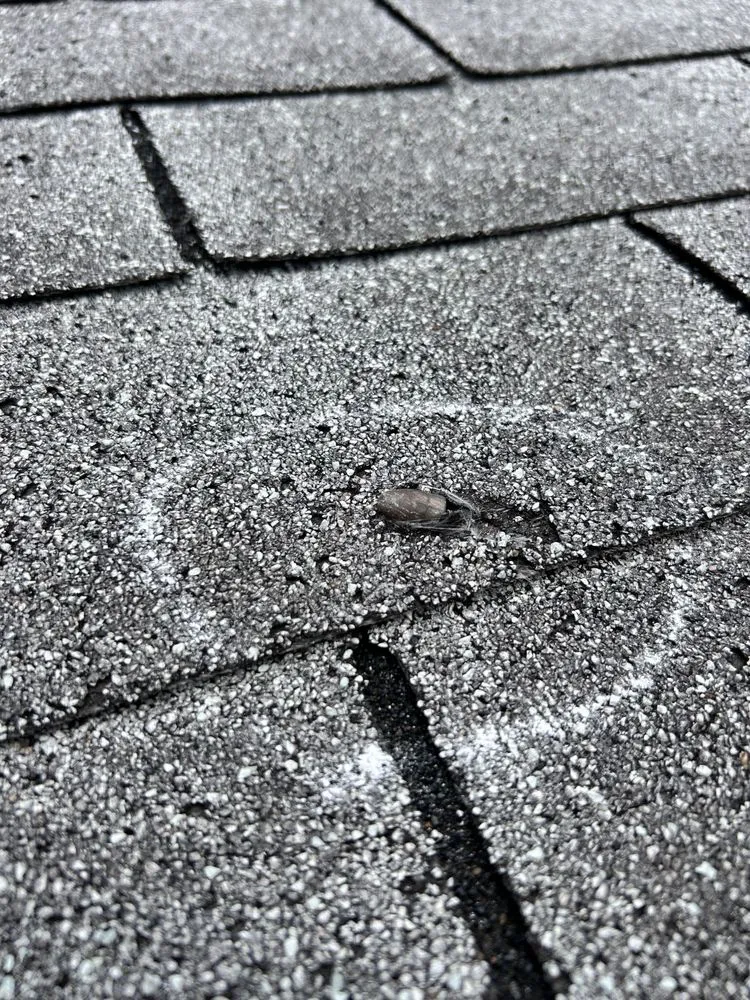 Slide of Lifetime Quality Roofing