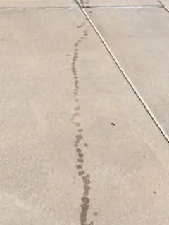 Slide of Lifetime Roof & Solar