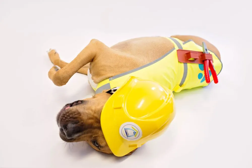 Slide of Lifetime Roofing & Renovation