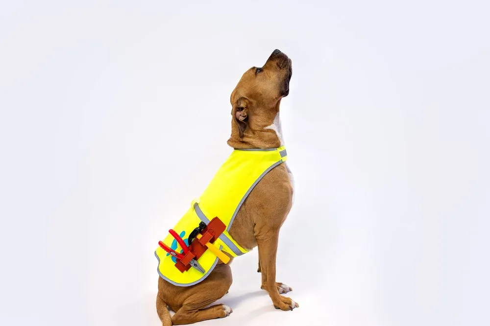 Slide of Lifetime Roofing & Renovation