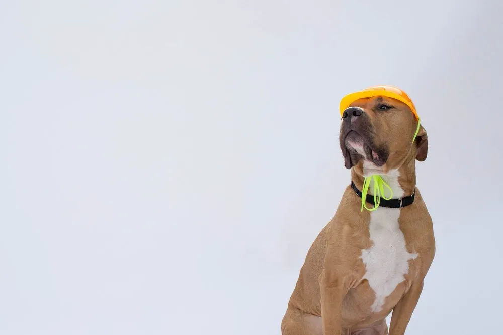 Slide of Lifetime Roofing & Renovation