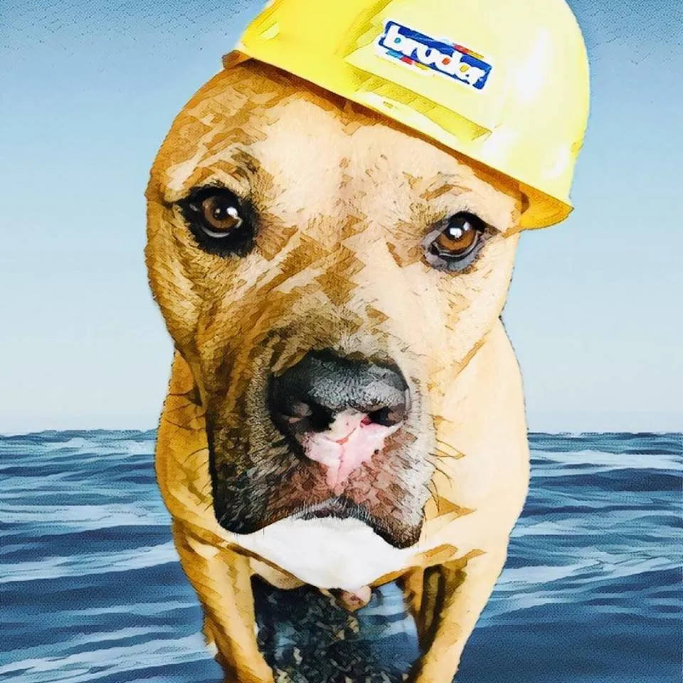 Slide of Lifetime Roofing & Renovation