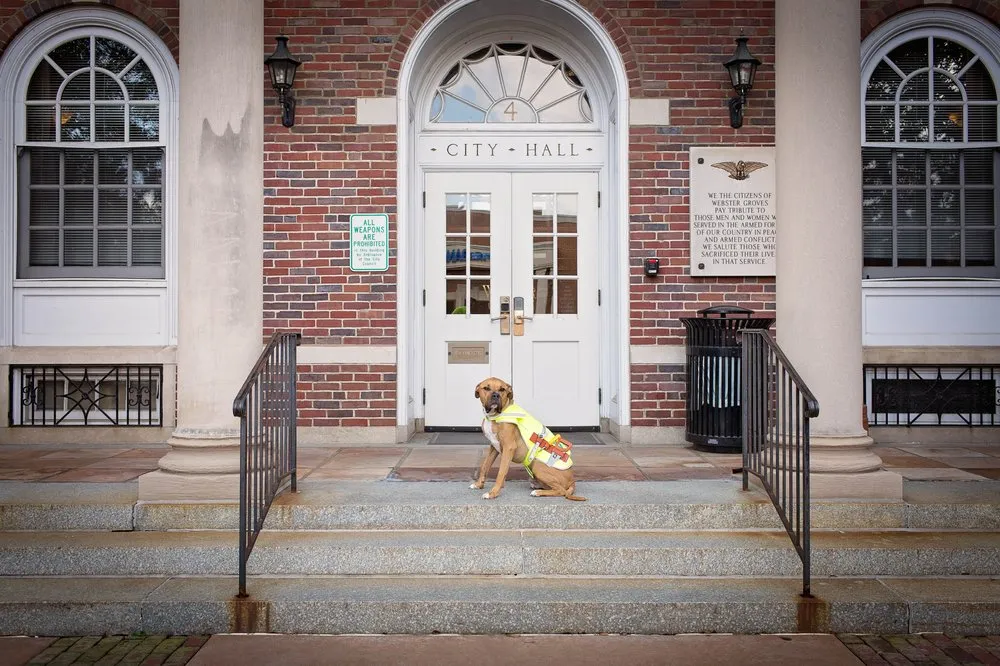 Slide of Lifetime Roofing & Renovation