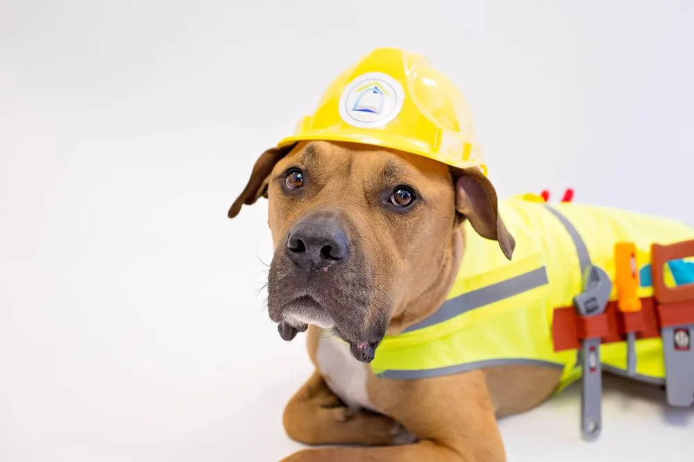 Slide of Lifetime Roofing & Renovation