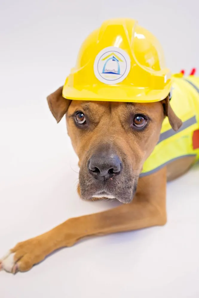 Slide of Lifetime Roofing & Renovation