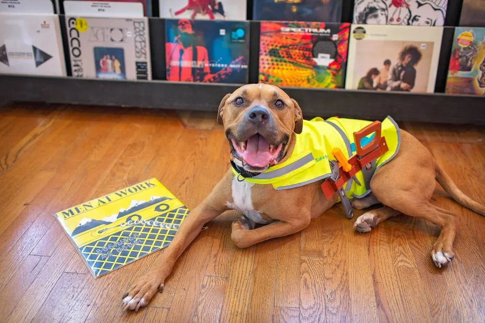 Slide of Lifetime Roofing & Renovation