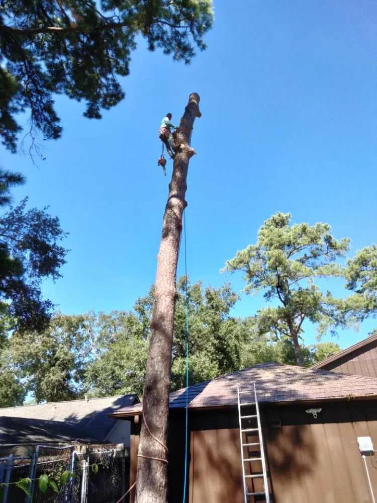 Slide of Lifetime Roofing & Sheet Metal