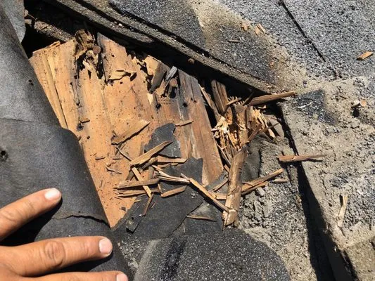 Lighthouse Roofing And Repair