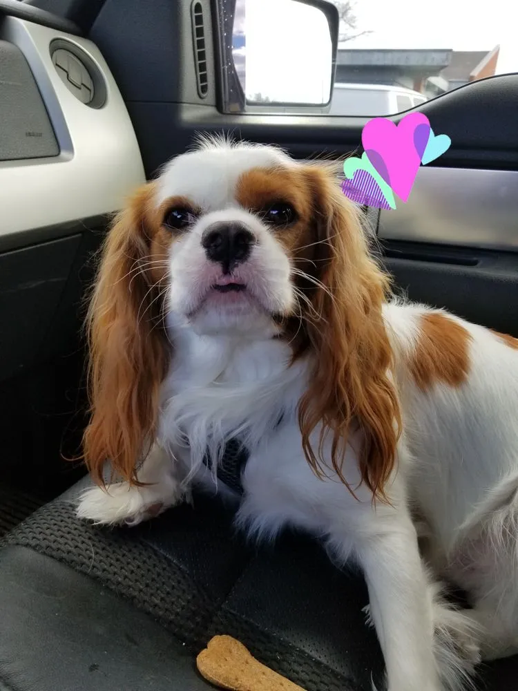 Slide of Lilly Home Improvement