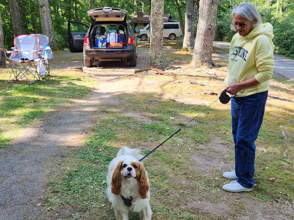 Slide of Lilly Home Improvement