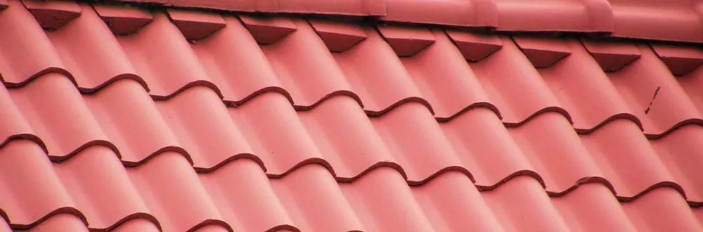 Slide of Lime City Dumpsters