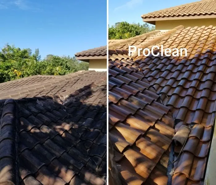 Slide of Lincoln Park Power Washing Pros