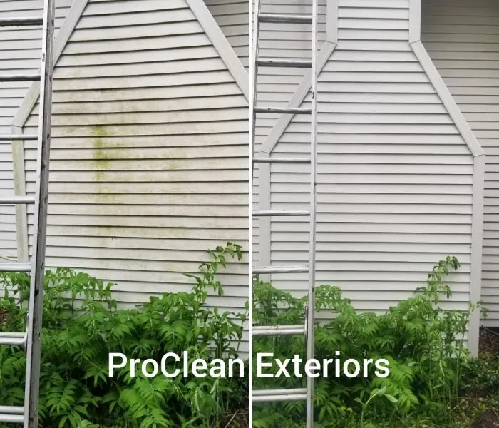 Slide of Lincoln Park Power Washing Pros
