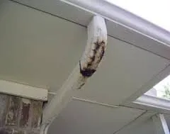 Slide of Lincolnshire Gutter Cleaning