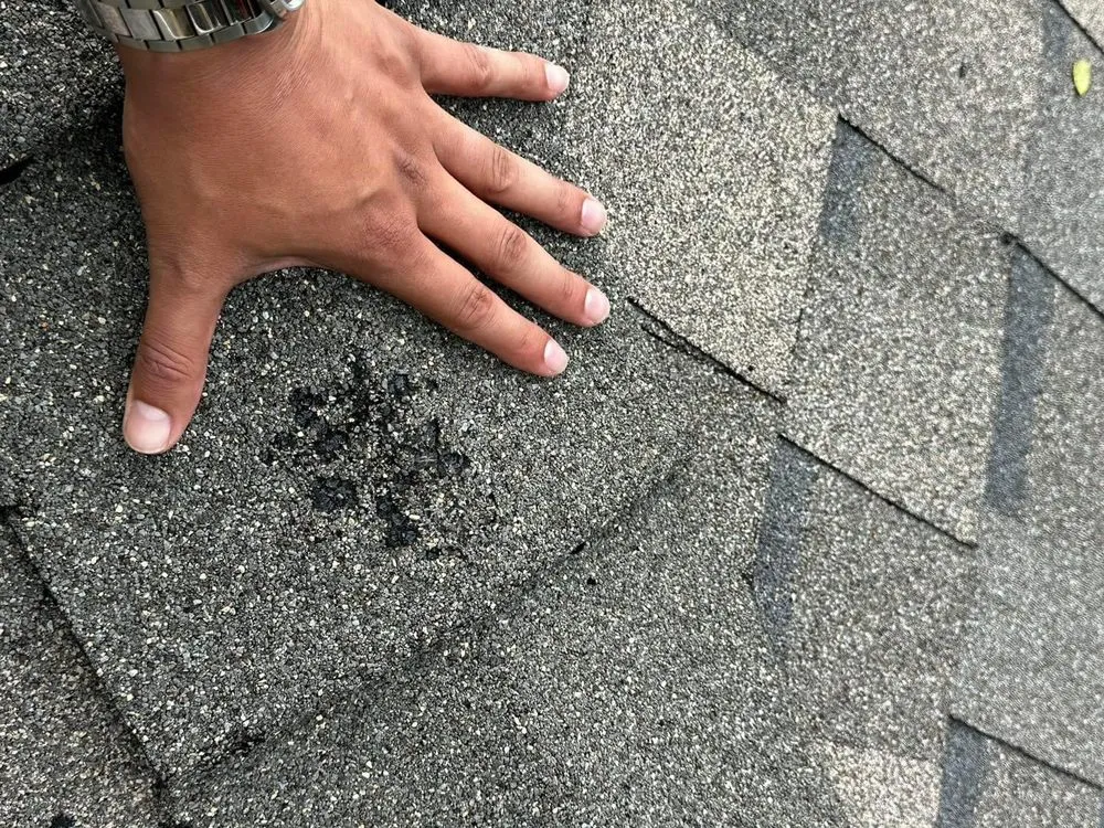 Slide of Linear Roofing