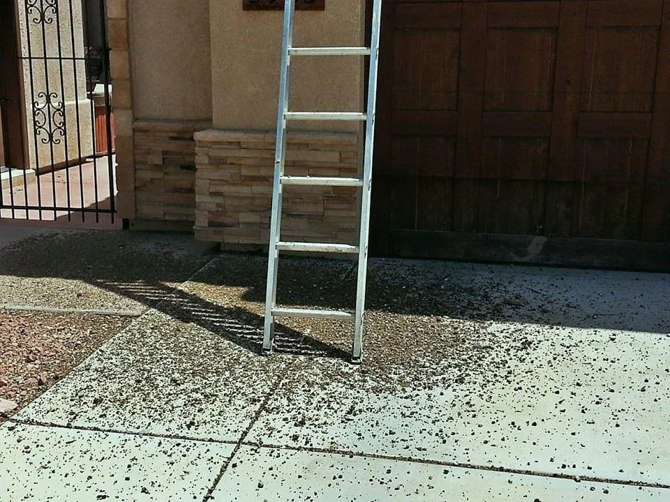 Slide of Lines And Lundgreen