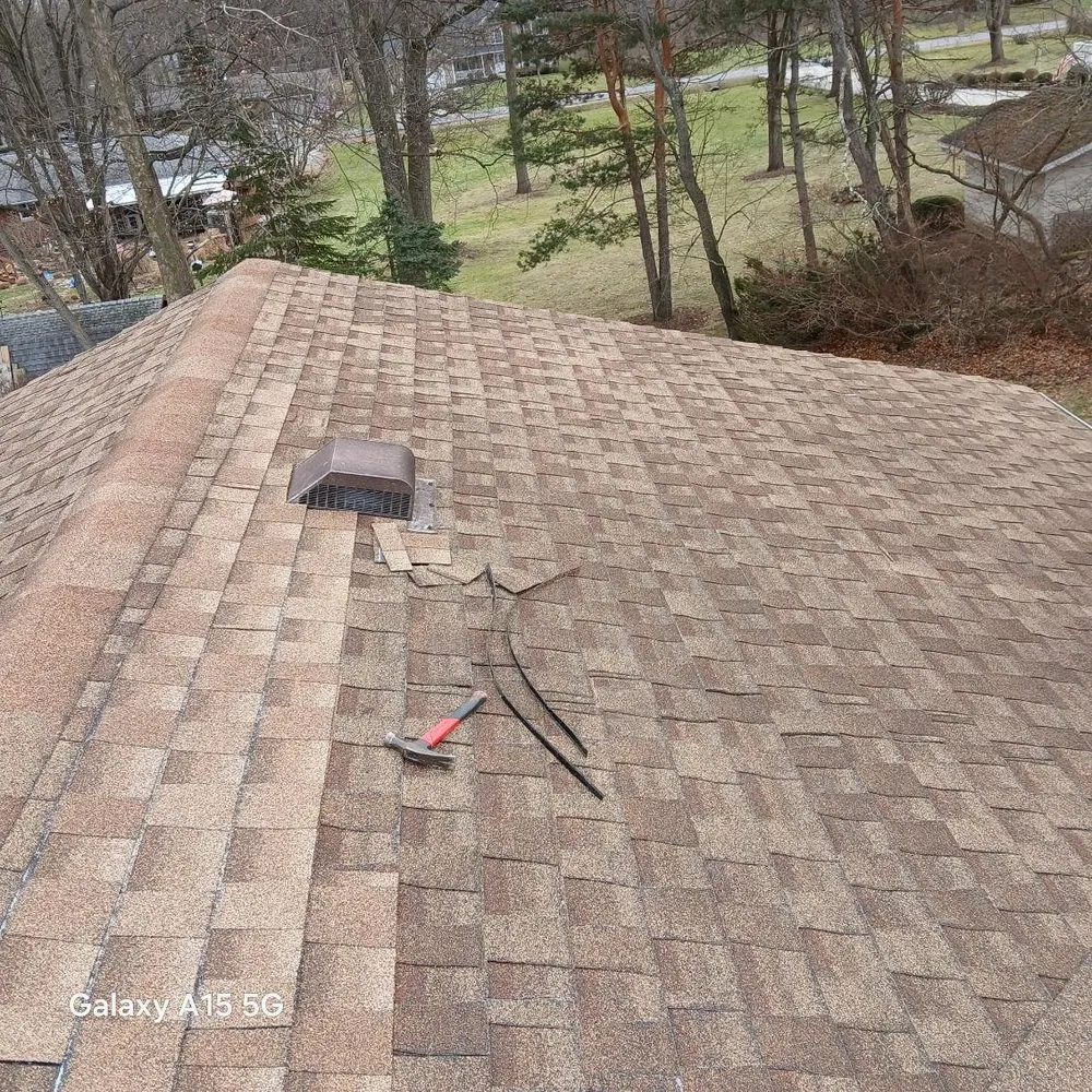 Slide of Link Customs