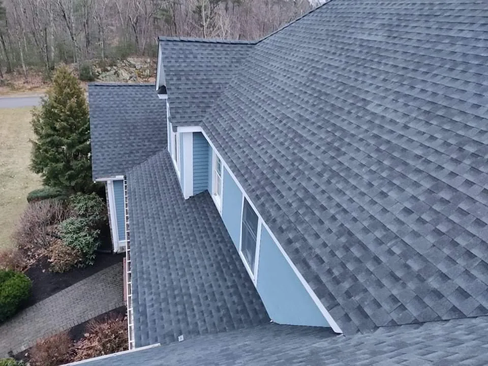 Slide of Lion Exteriors and Construction