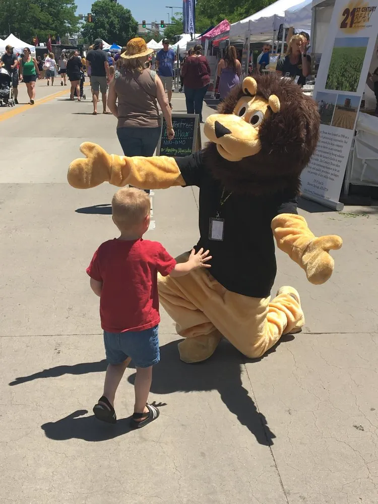 Slide of Lion Home Service