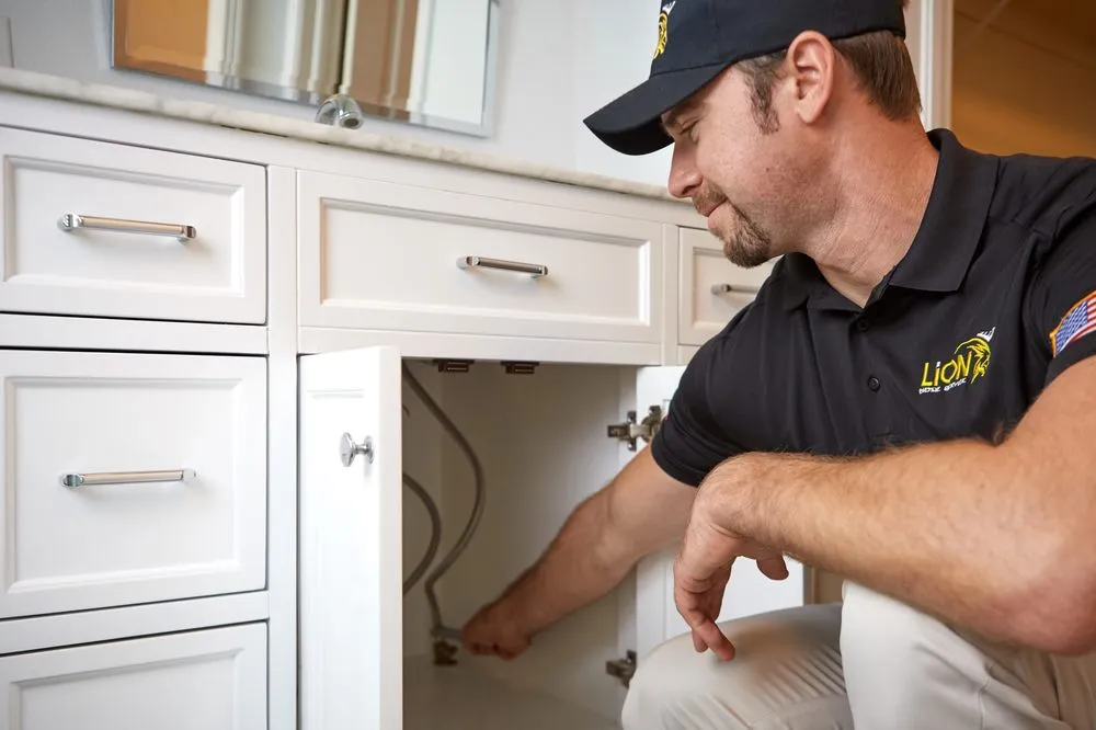 Slide of Lion Home Service