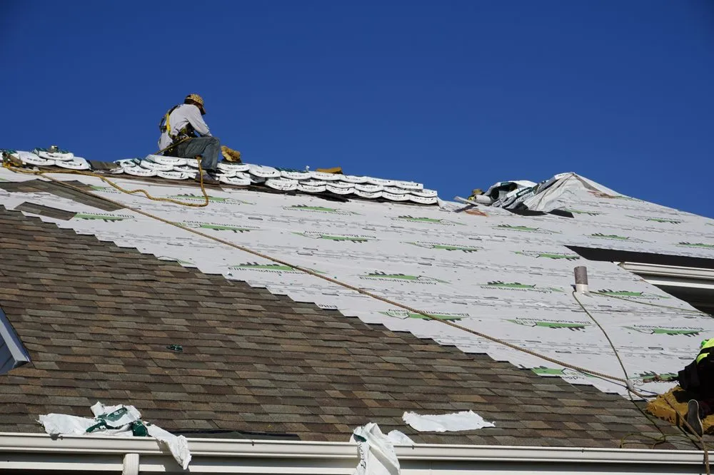 Slide of Lion Home Service