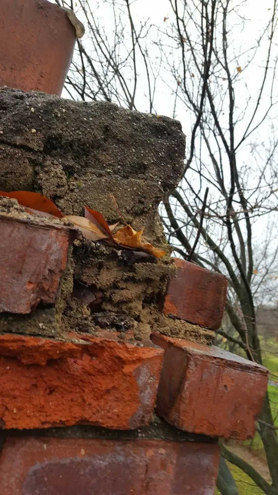 Slide of Lion King Home Improvement