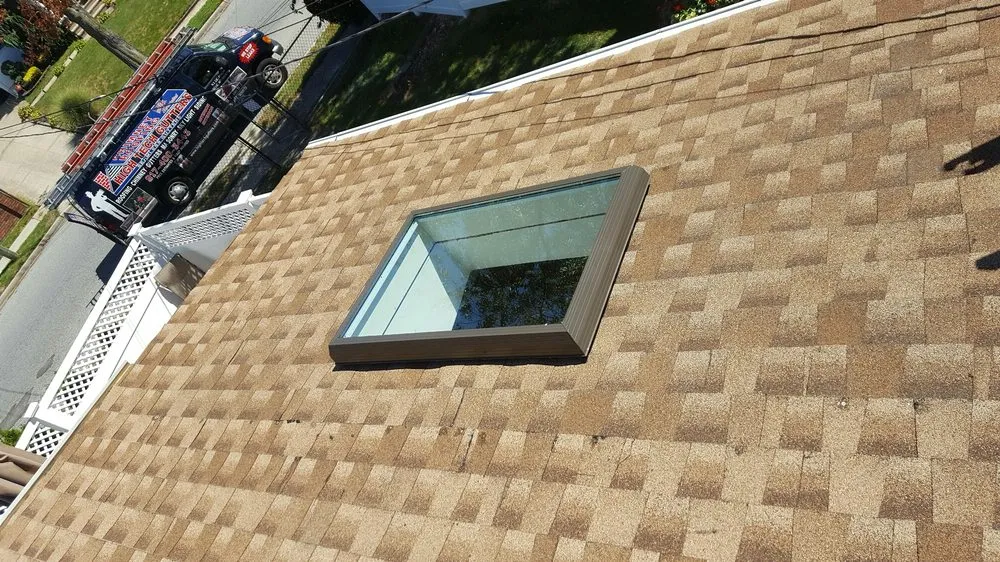 Slide of Lion King Home Improvement