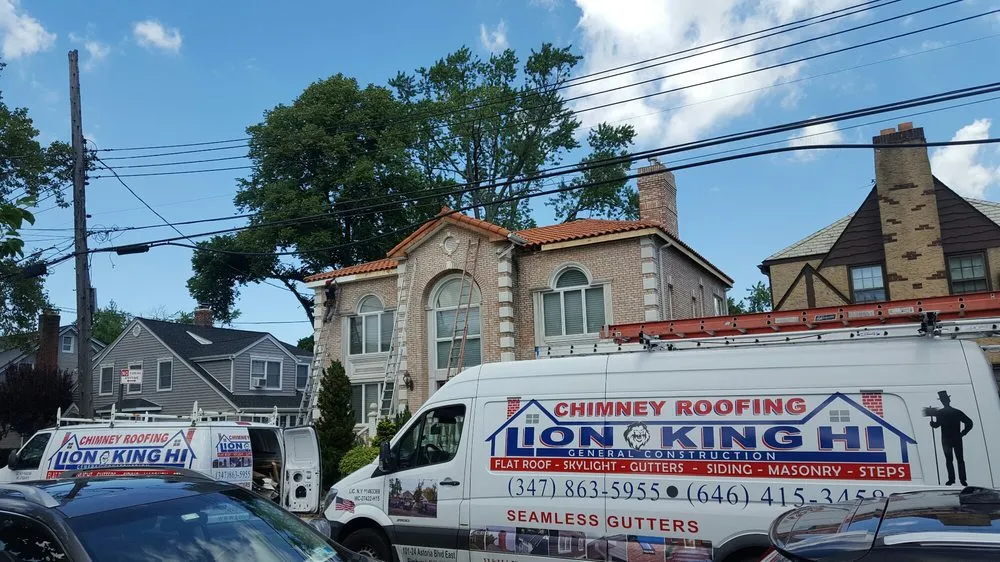 Slide of Lion King Home Improvement