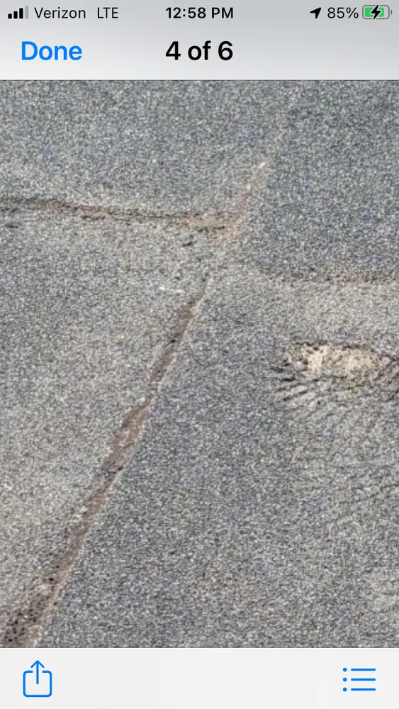 Slide of Lion King Home Improvement