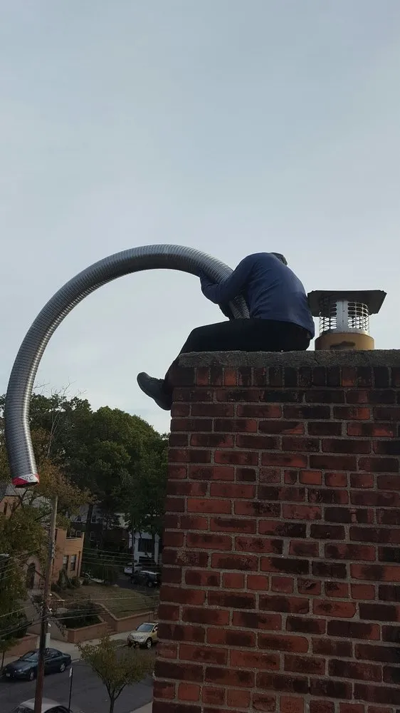 Slide of Lion King Home Improvement