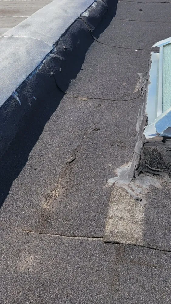 Slide of Lion King Home Improvement