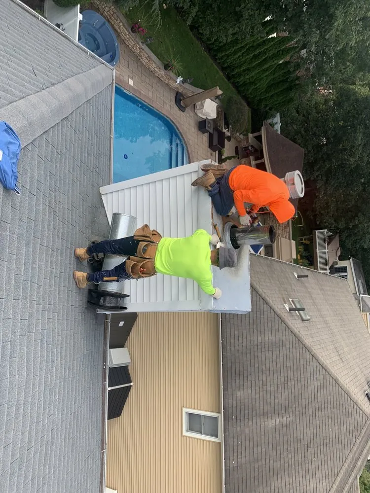 Slide of Lion King Home Improvement