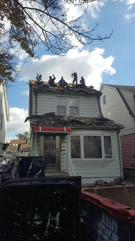 Slide of Lion King Home Improvement