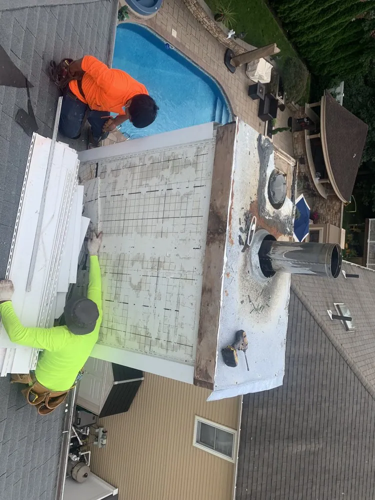 Slide of Lion King Home Improvement