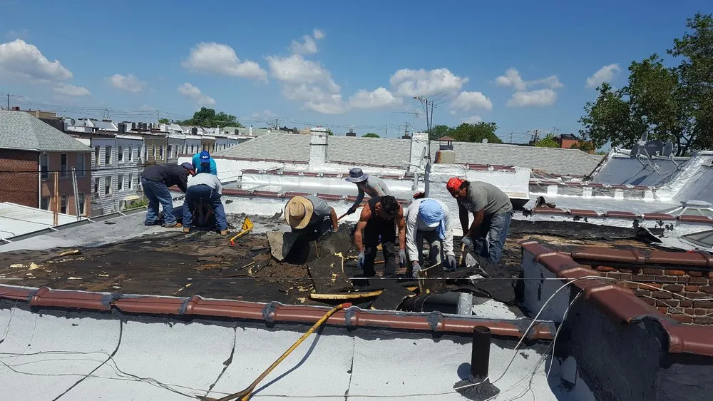 Slide of Lion King Home Improvement