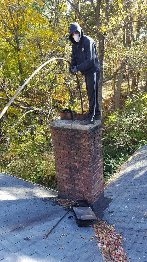 Slide of Lion King Home Improvement