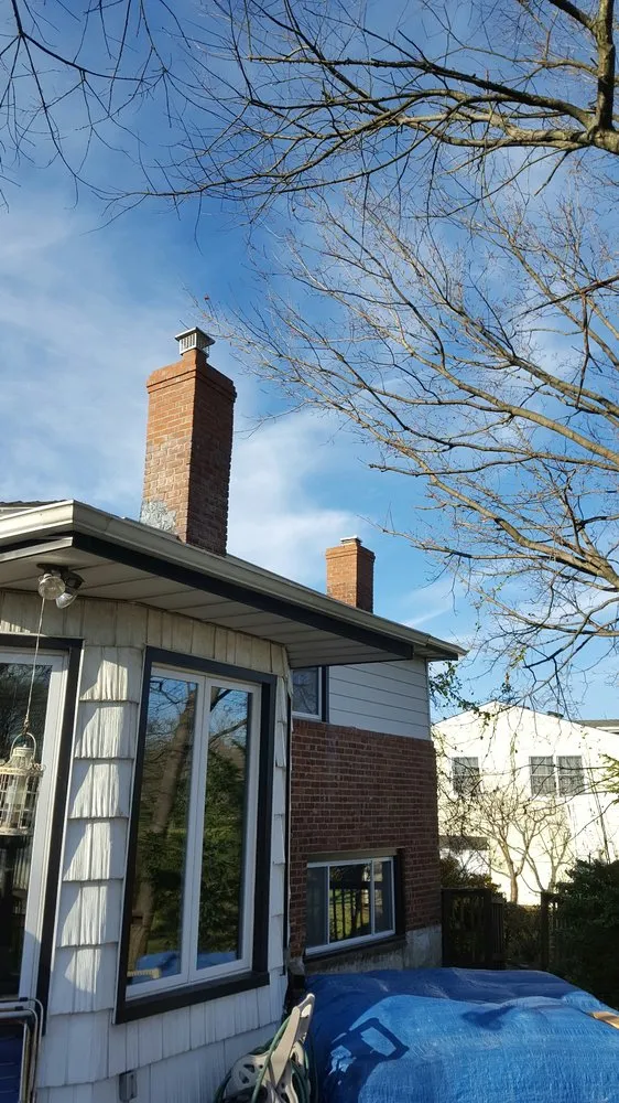 Slide of Lion King Home Improvement