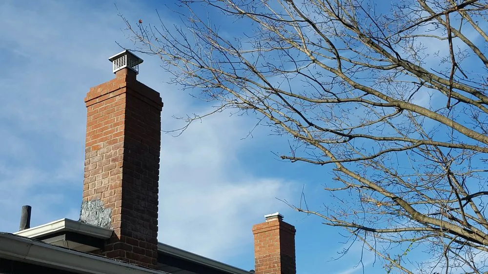 Slide of Lion King Home Improvement