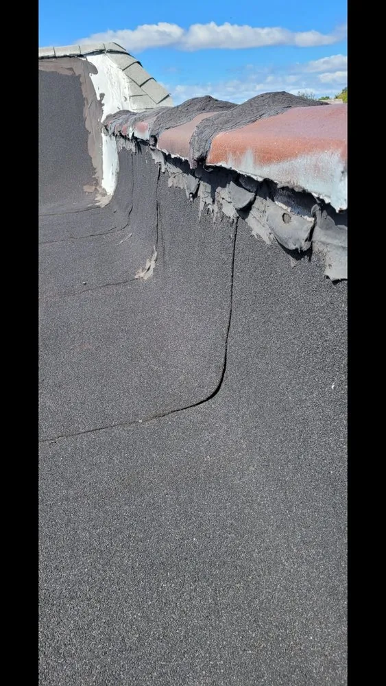 Slide of Lion King Home Improvement