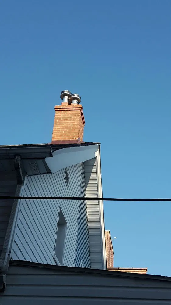 Slide of Lion King Home Improvement