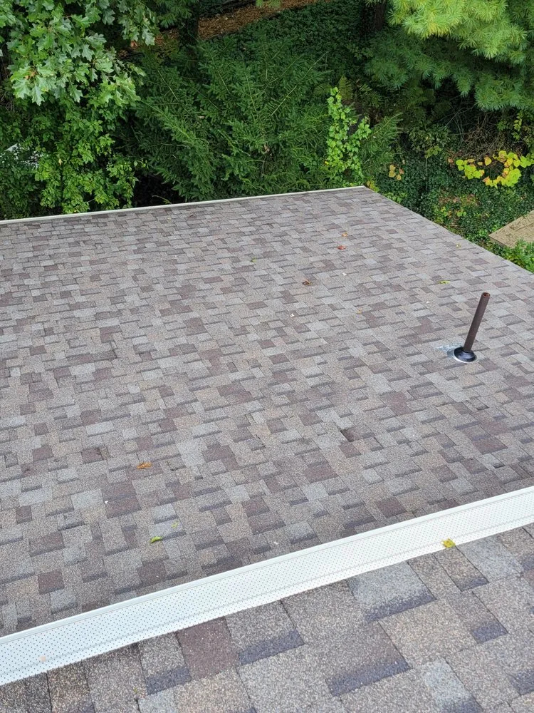 Slide of Lionheart Roofing