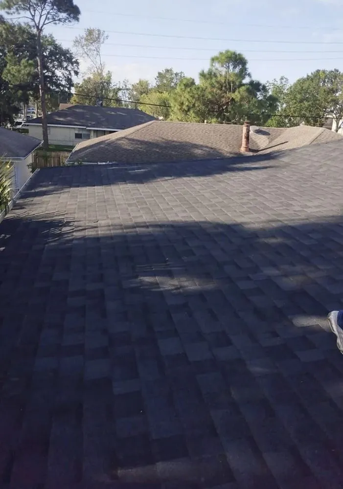 Slide of Lions Gate The Best For Less