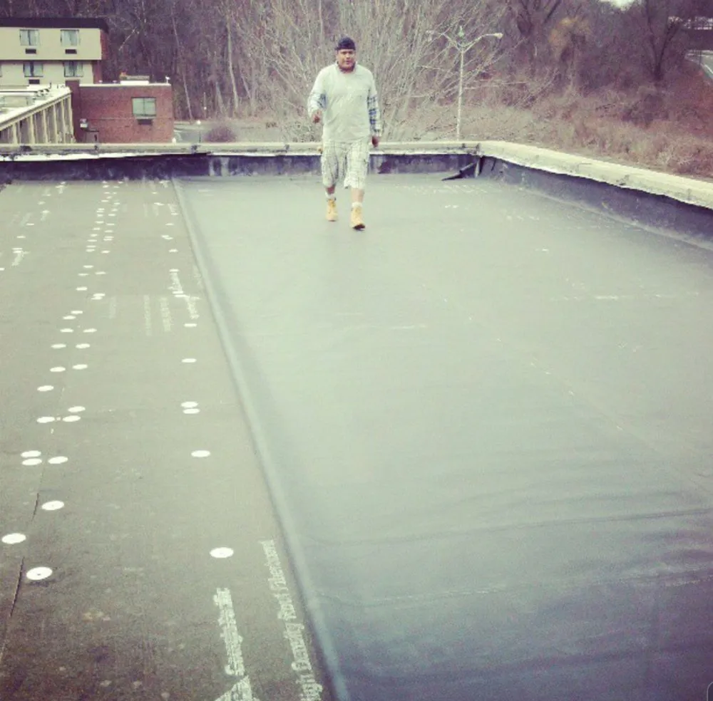 Slide of Lions Roofing